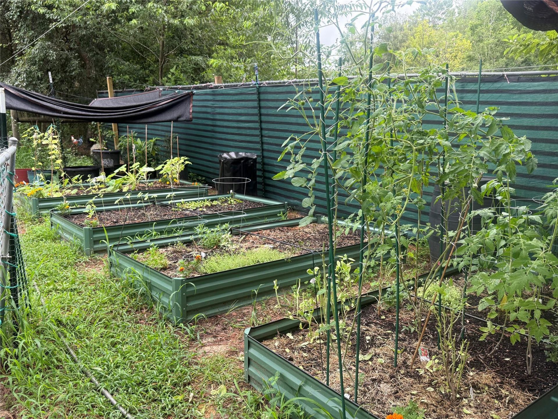 3050 E Possum Court, Inverness, FL 34452 Photo