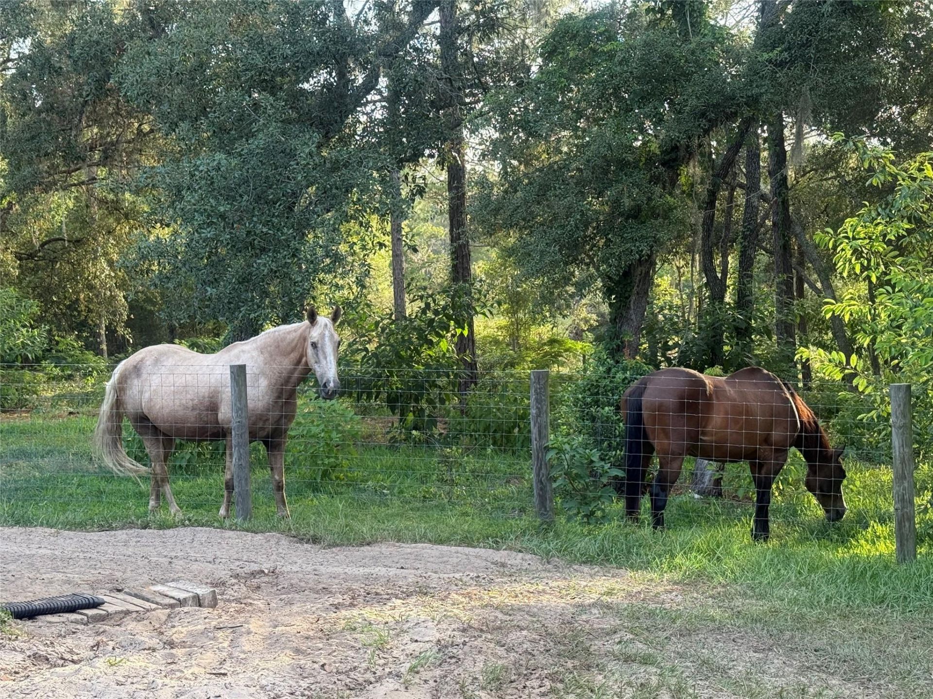3050 E Possum Court, Inverness, FL 34452 Photo