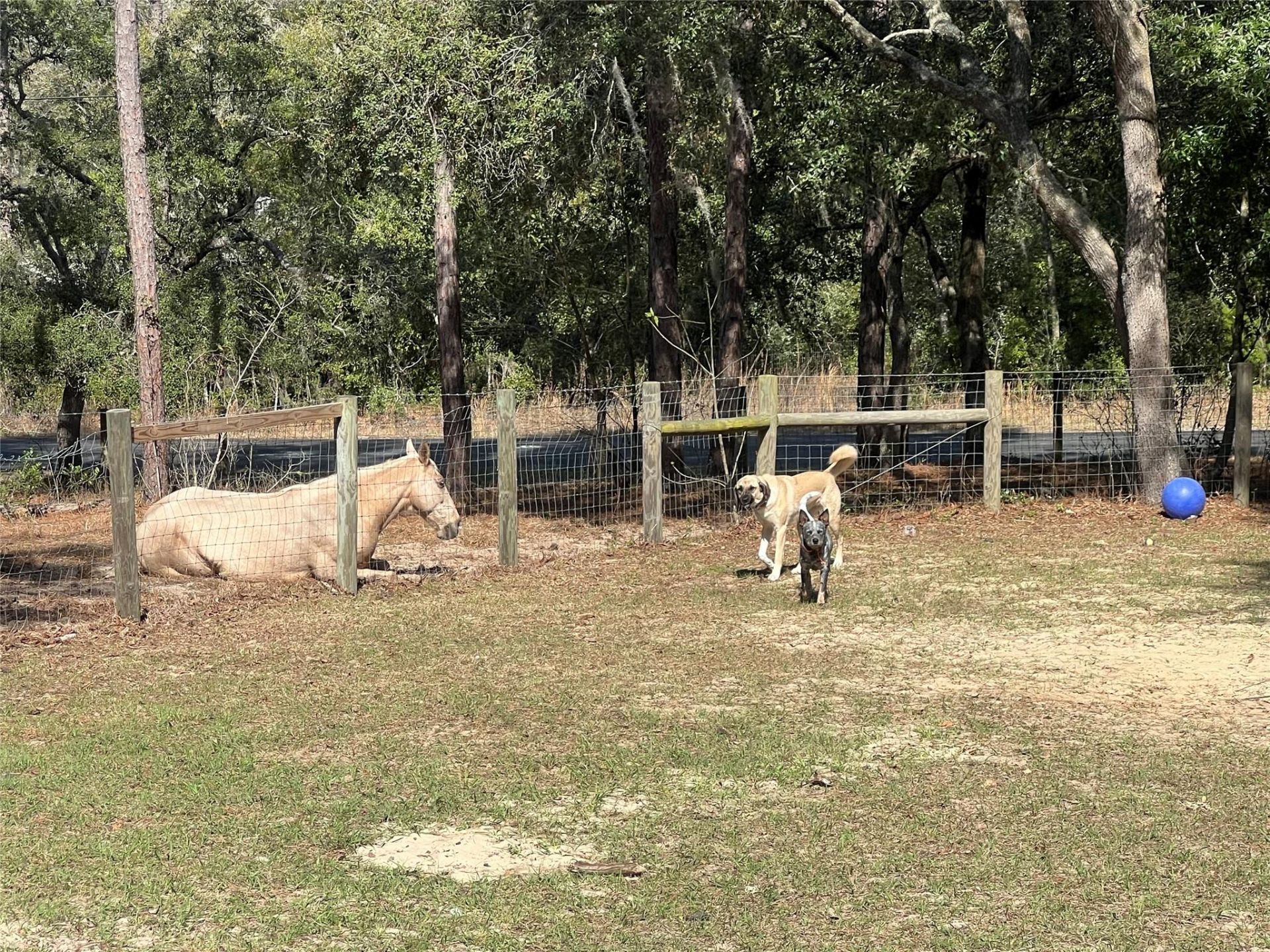 3050 E Possum Ct, Inverness, FL 34452 Photo