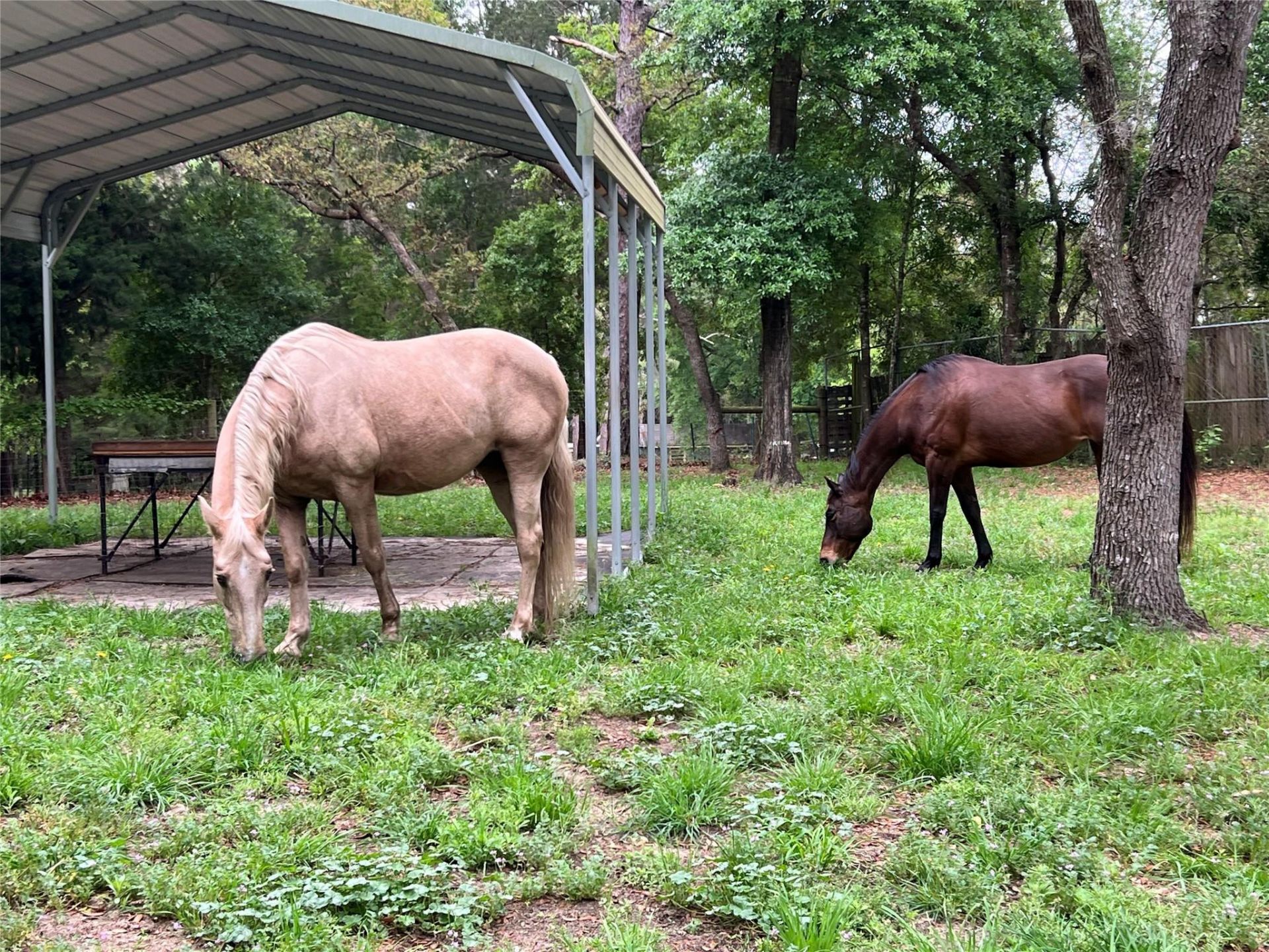 3050 E Possum Court, Inverness, FL 34452 Photo