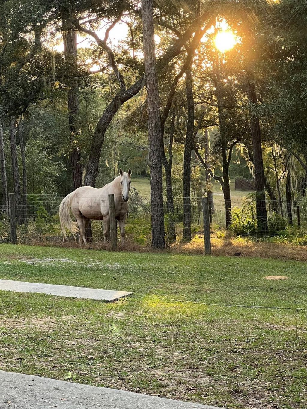 3050 E Possum Court, Inverness, FL 34452 Photo