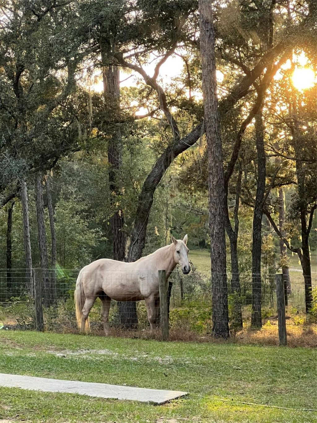 3050 E Possum Court, Inverness, FL 34452 Photo