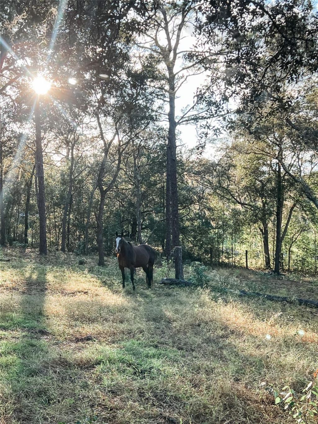 3050 E Possum Ct, Inverness, FL 34452 Photo