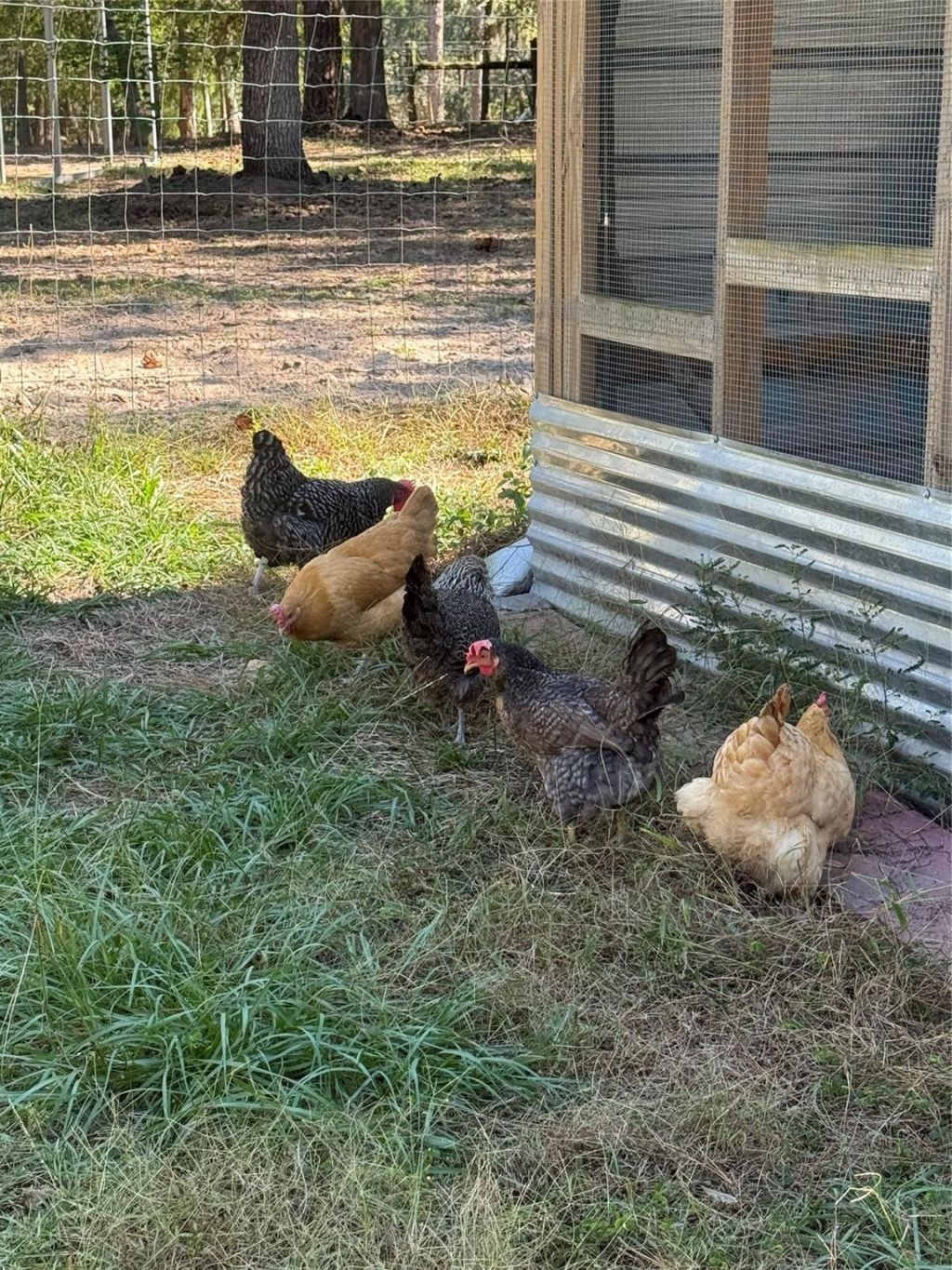 3050 E Possum Court, Inverness, FL 34452 Photo