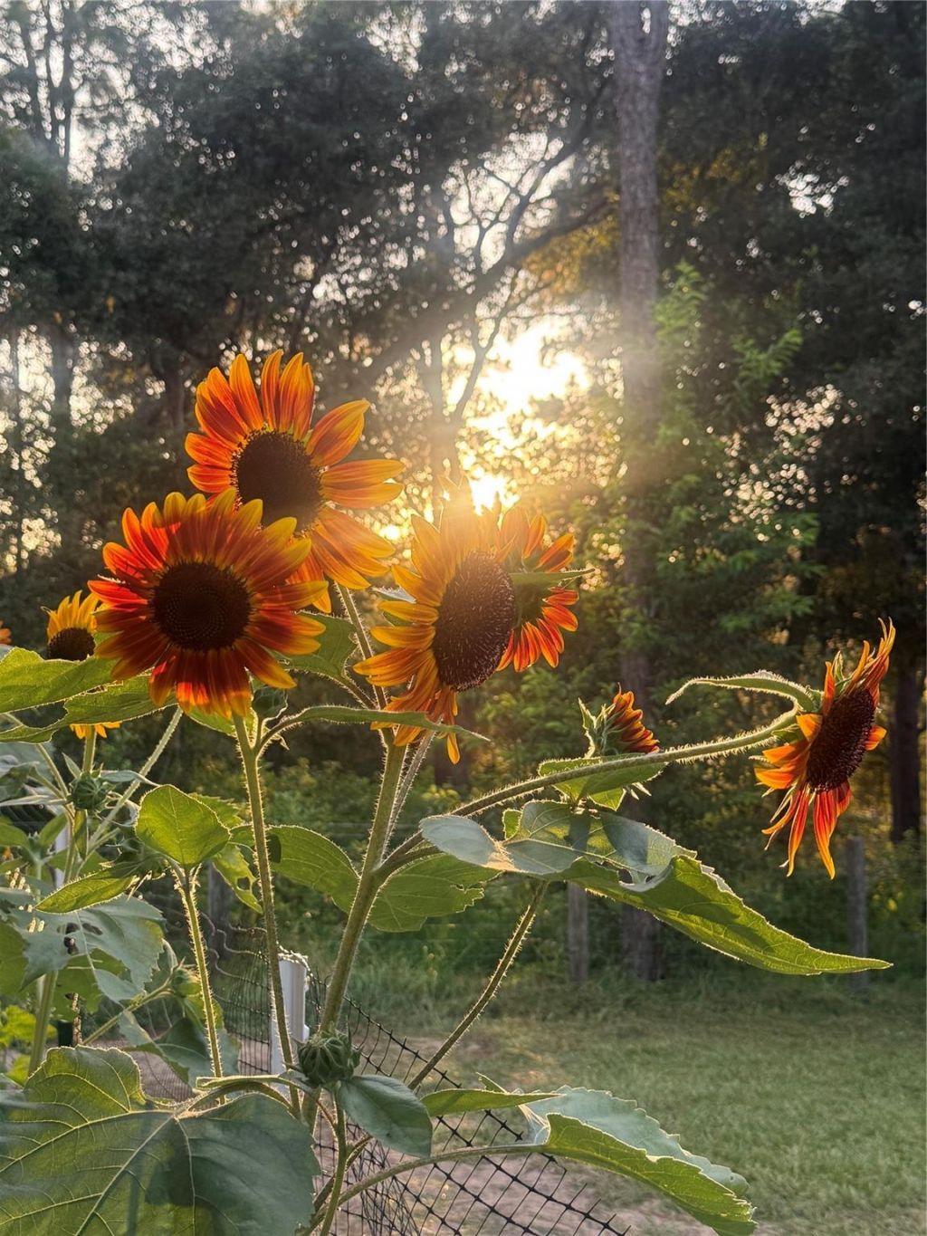 3050 E Possum Ct, Inverness, FL 34452 Photo