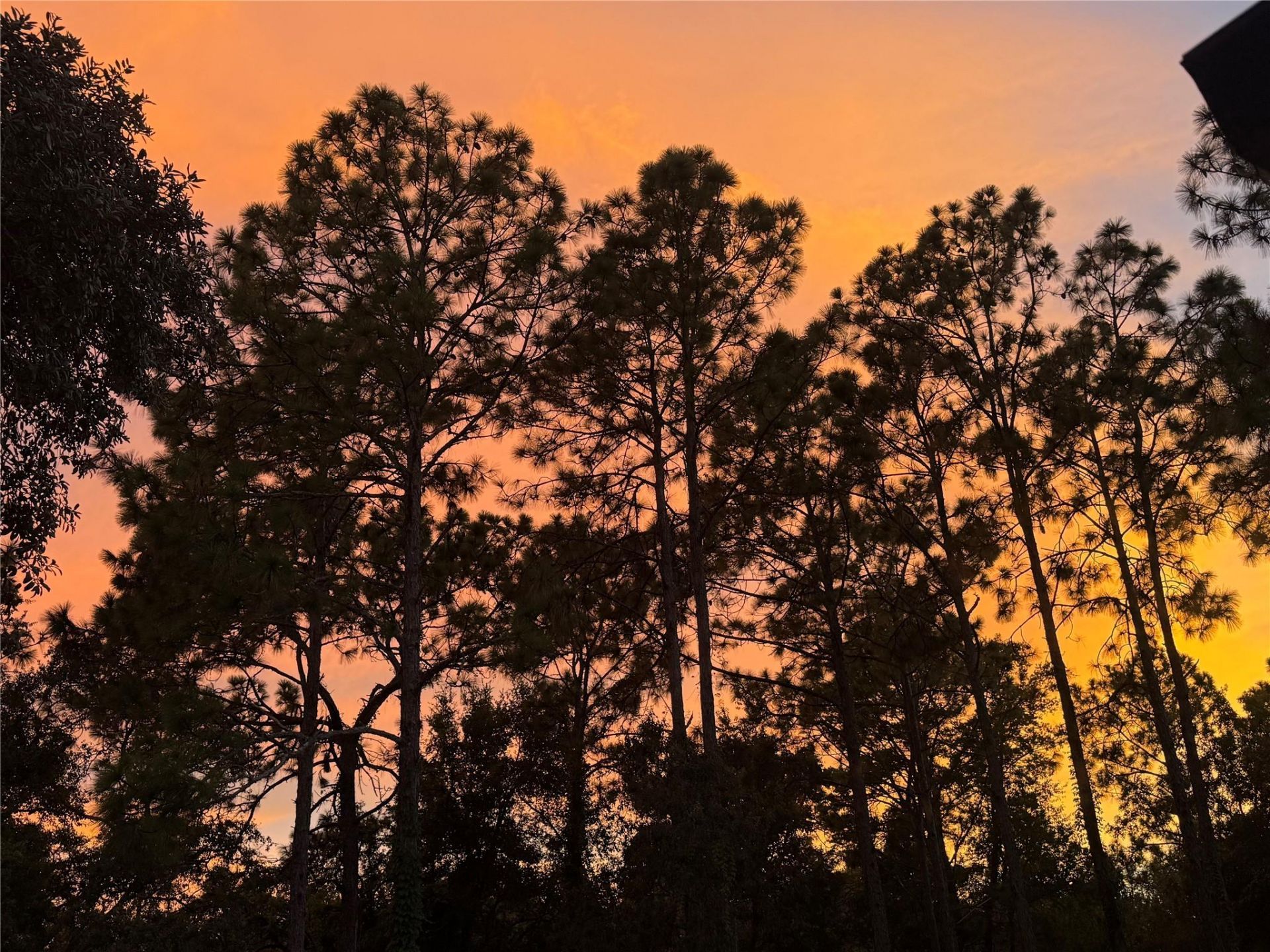 3050 E Possum Ct, Inverness, FL 34452 Photo