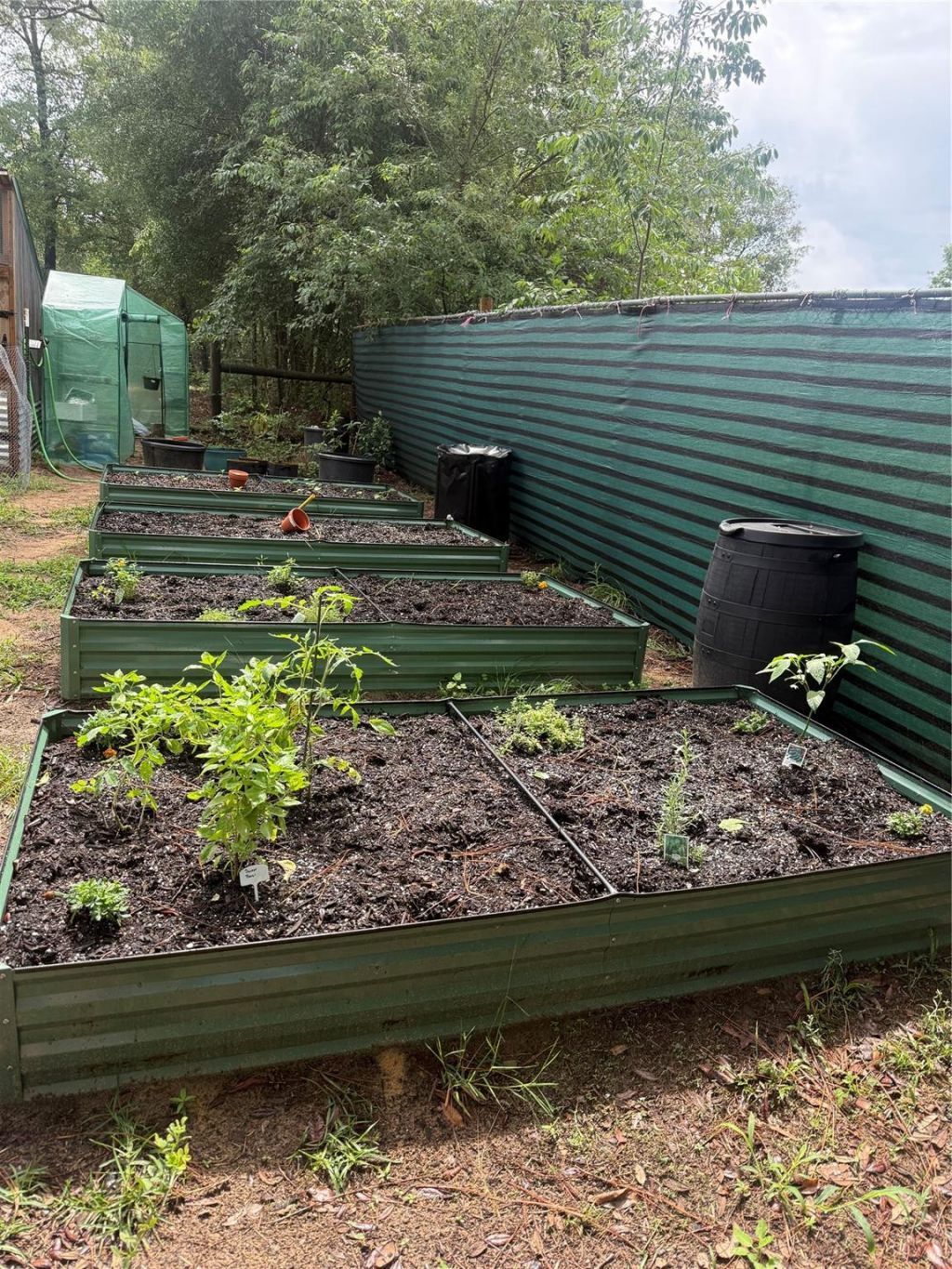 3050 E Possum Court, Inverness, FL 34452 Photo