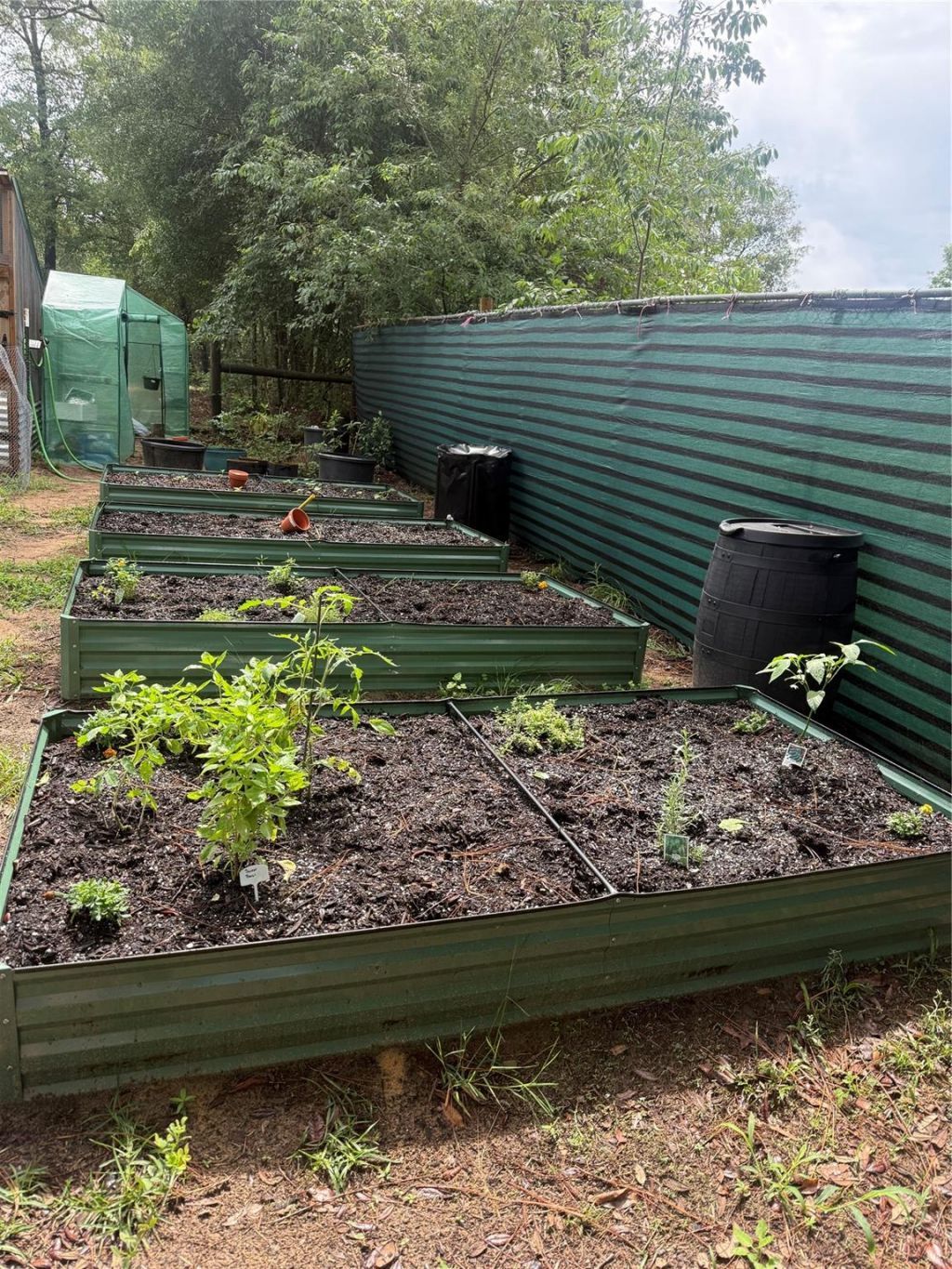 3050 E Possum Ct, Inverness, FL 34452 Photo