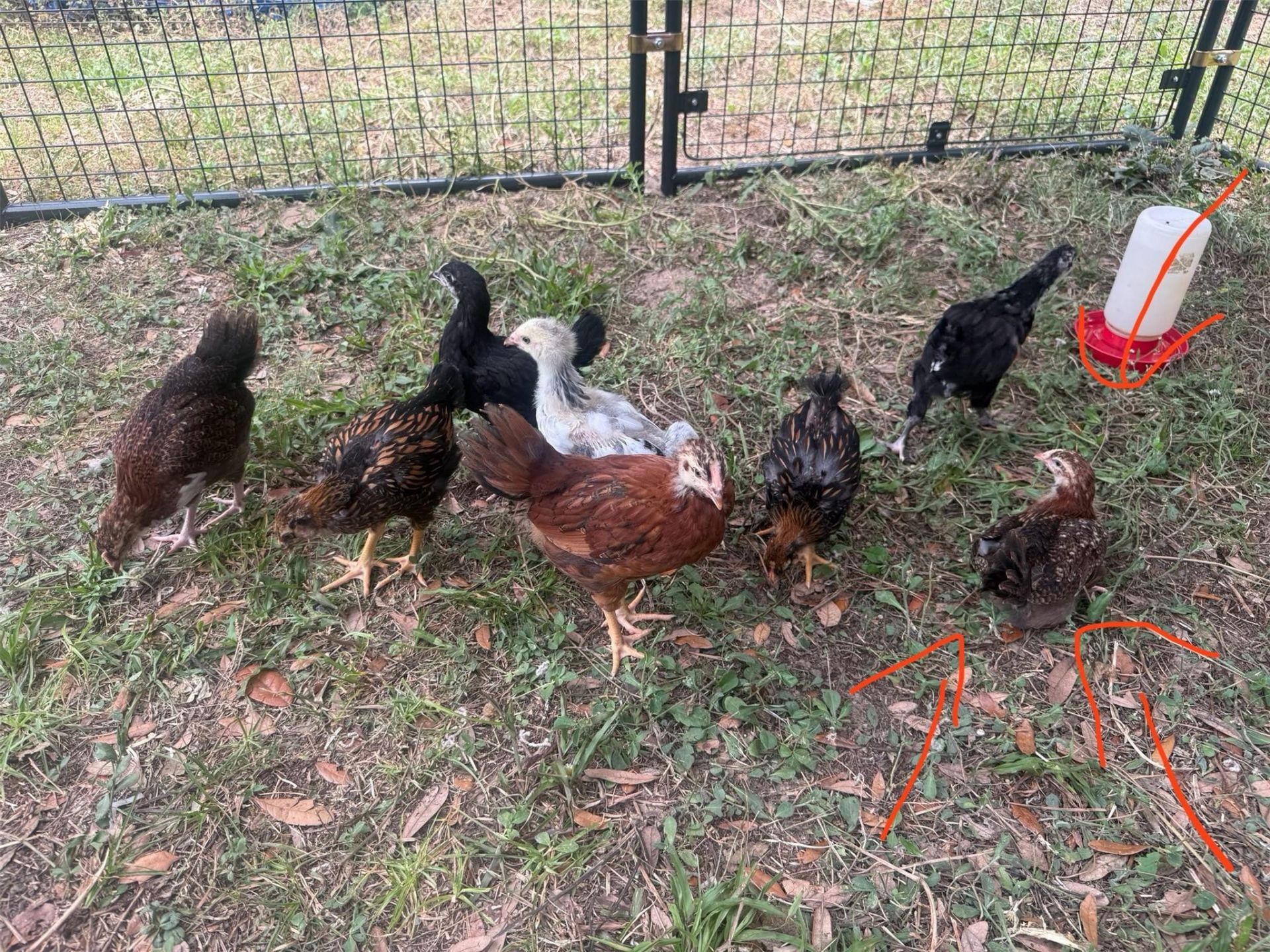 3050 E Possum Court, Inverness, FL 34452 Photo