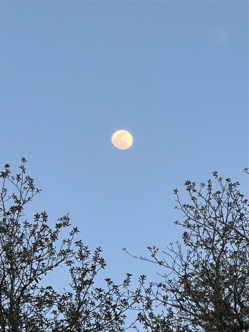 3050 E Possum Ct, Inverness, FL 34452 Photo