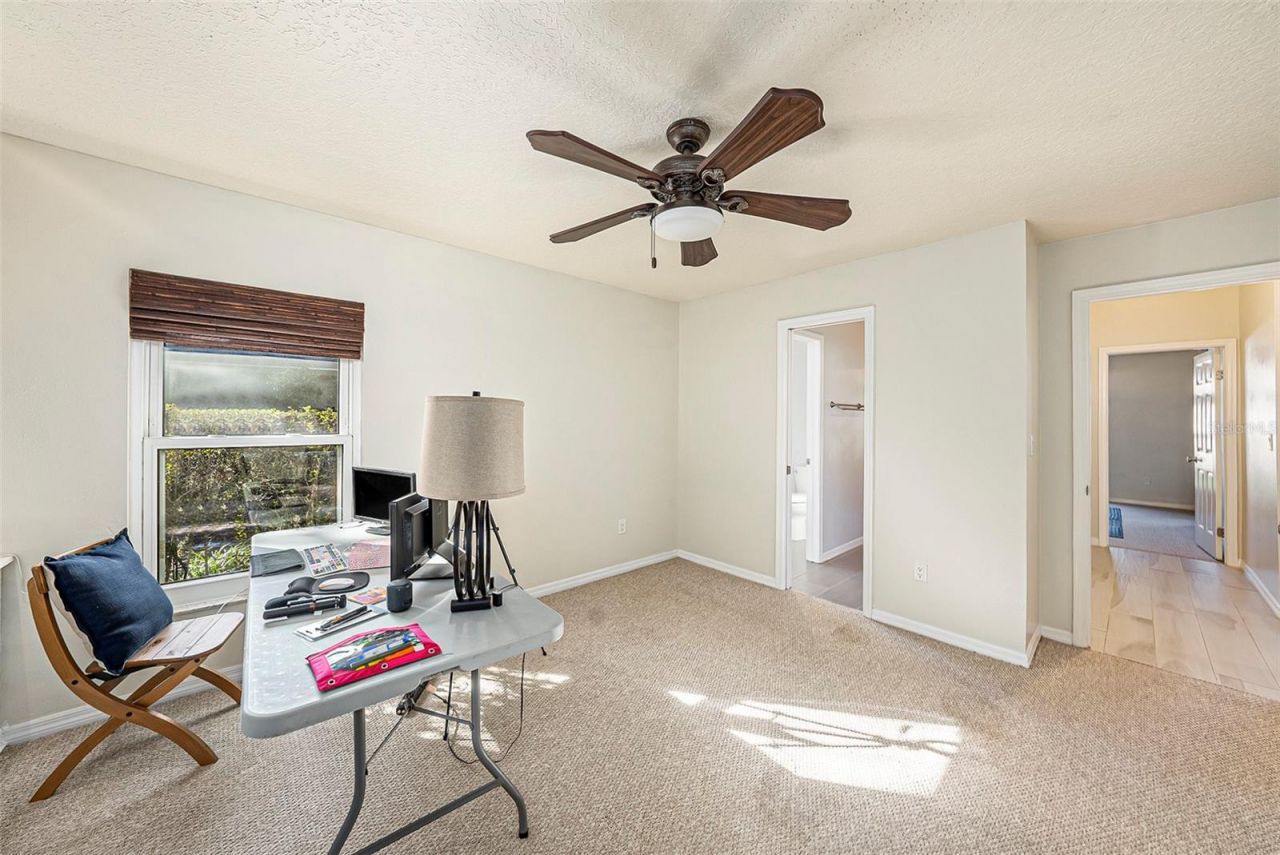 15818 Fairchild Drive, Tampa, FL 33647 Photo