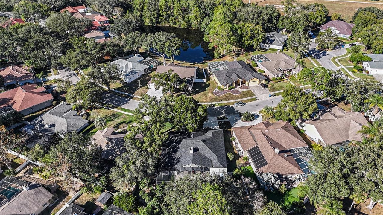 15818 Fairchild Drive, Tampa, FL 33647 Photo