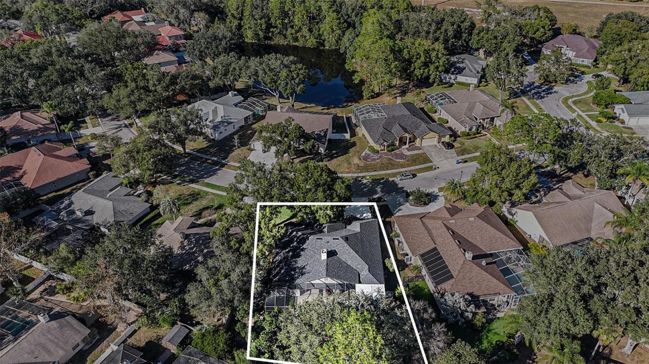 15818 Fairchild Drive, Tampa, FL 33647 Photo