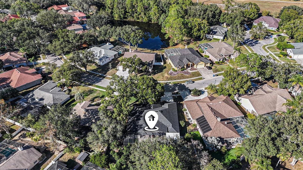 15818 Fairchild Drive, Tampa, FL 33647 Photo