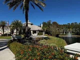 15818 Fairchild Drive, Tampa, FL 33647 Photo