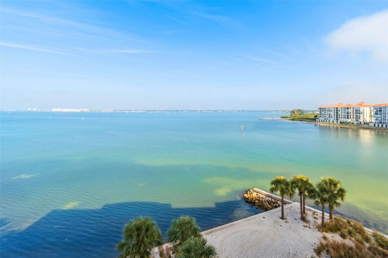 4991 Bacopa Lane S, Unit 502, Saint Petersburg, FL 33715 Photo