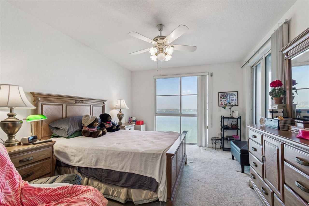 4991 Bacopa Lane S, Unit 502, Saint Petersburg, FL 33715 Photo