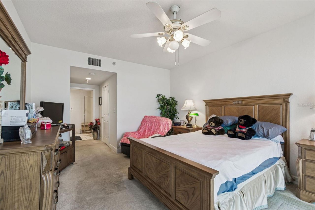 4991 Bacopa Lane S, Unit 502, Saint Petersburg, FL 33715 Photo