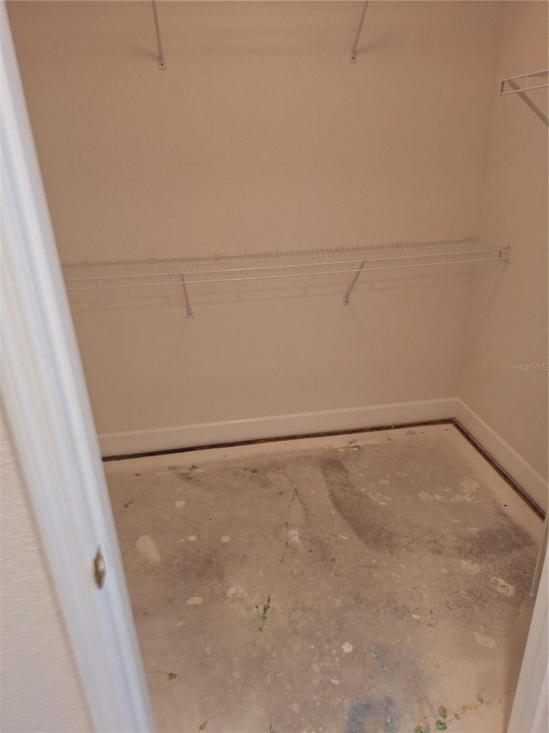 4991 Bacopa Lane S, Unit 502, Saint Petersburg, FL 33715 Photo