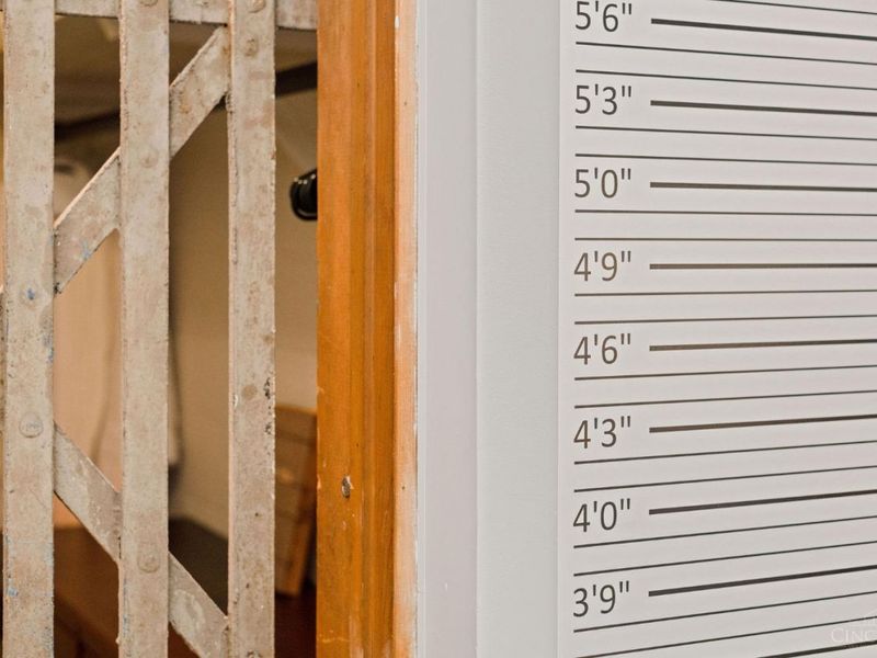 14 N Third Street, Ripley, OH 45167 Photo 62