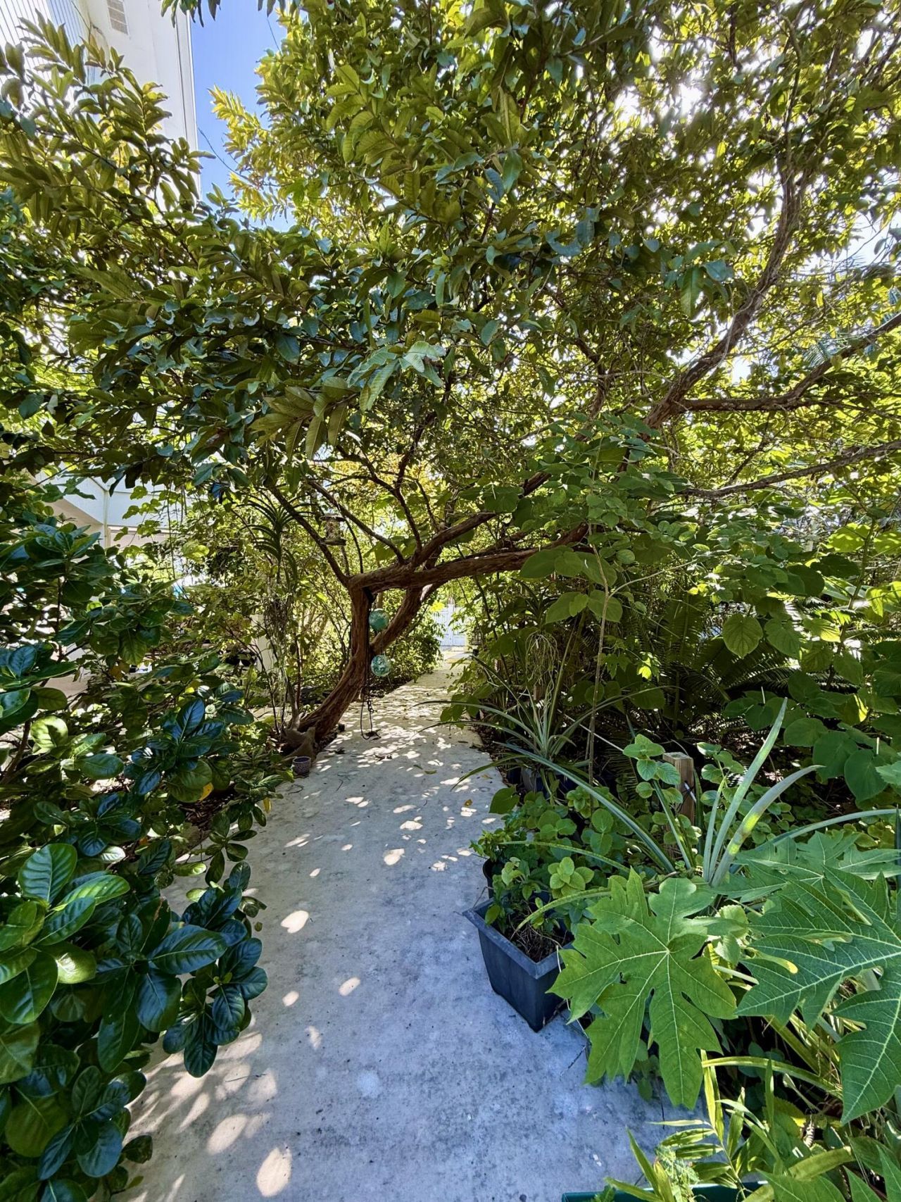 125 Colson Drive, Cudjoe, FL 33042 Photo