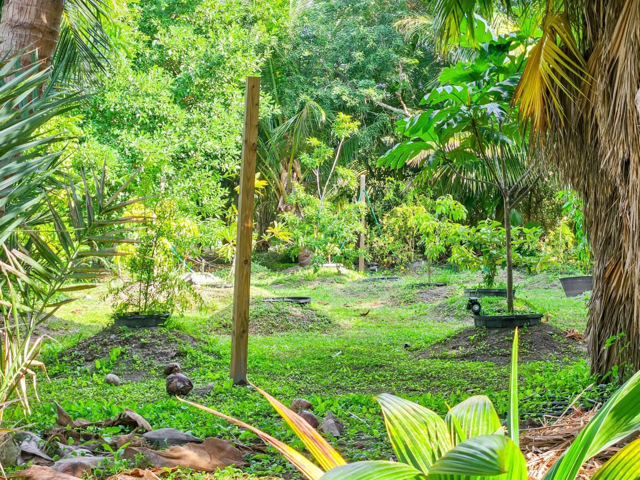 125 Colson Drive, Cudjoe, FL 33042 Photo