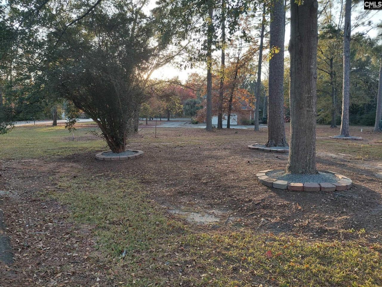 110 Brook Valley Drive Photo 15