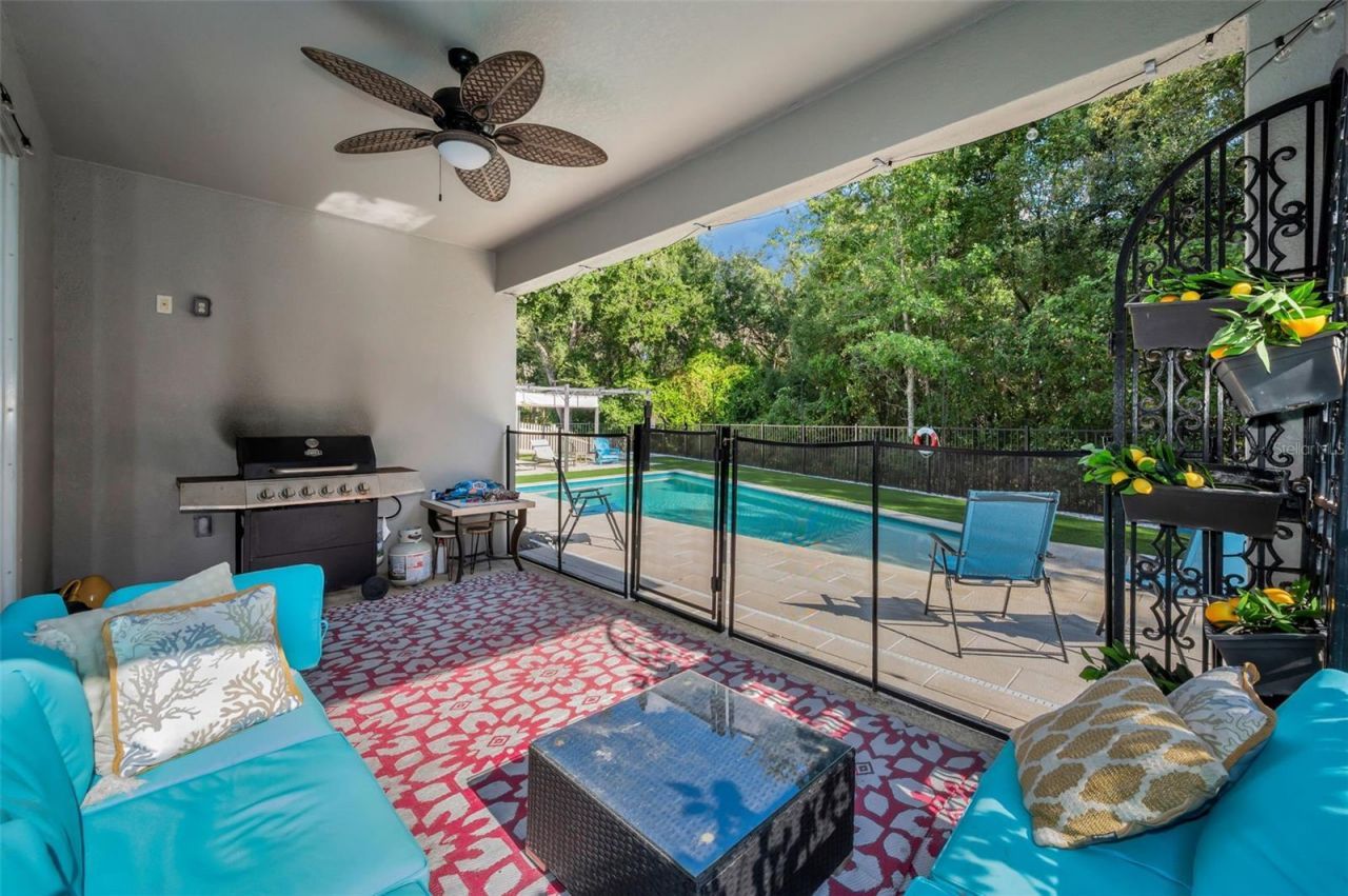 6942 Rocky Canyon Way, Tampa, FL 33625 Photo