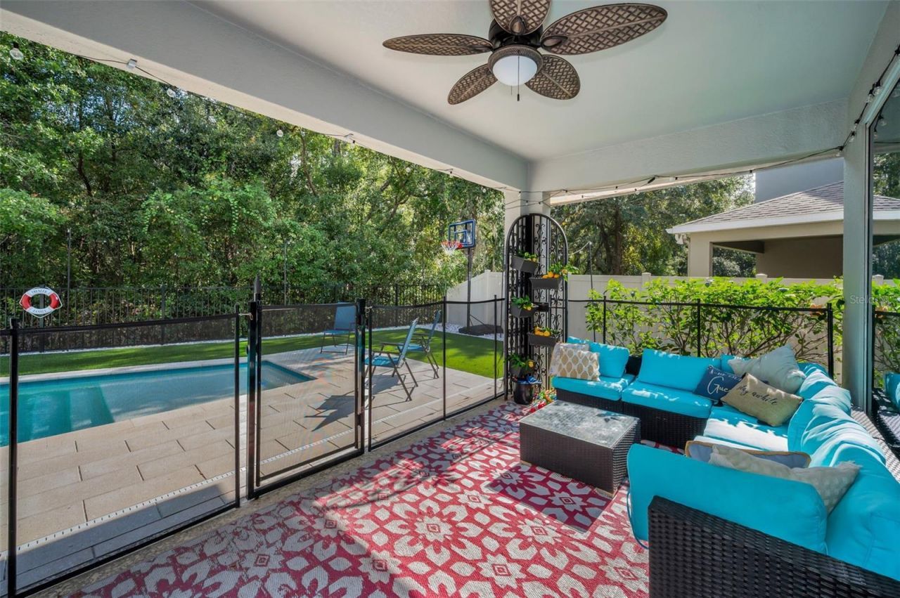 6942 Rocky Canyon Way, Tampa, FL 33625 Photo