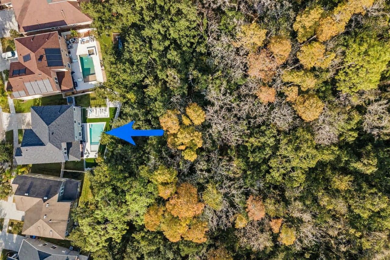 6942 Rocky Canyon Way, Tampa, FL 33625 Photo