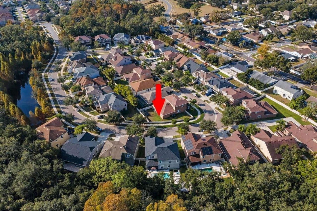 6942 Rocky Canyon Way, Tampa, FL 33625 Photo