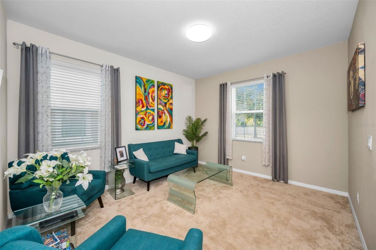 6942 Rocky Canyon Way, Tampa, FL 33625 Photo