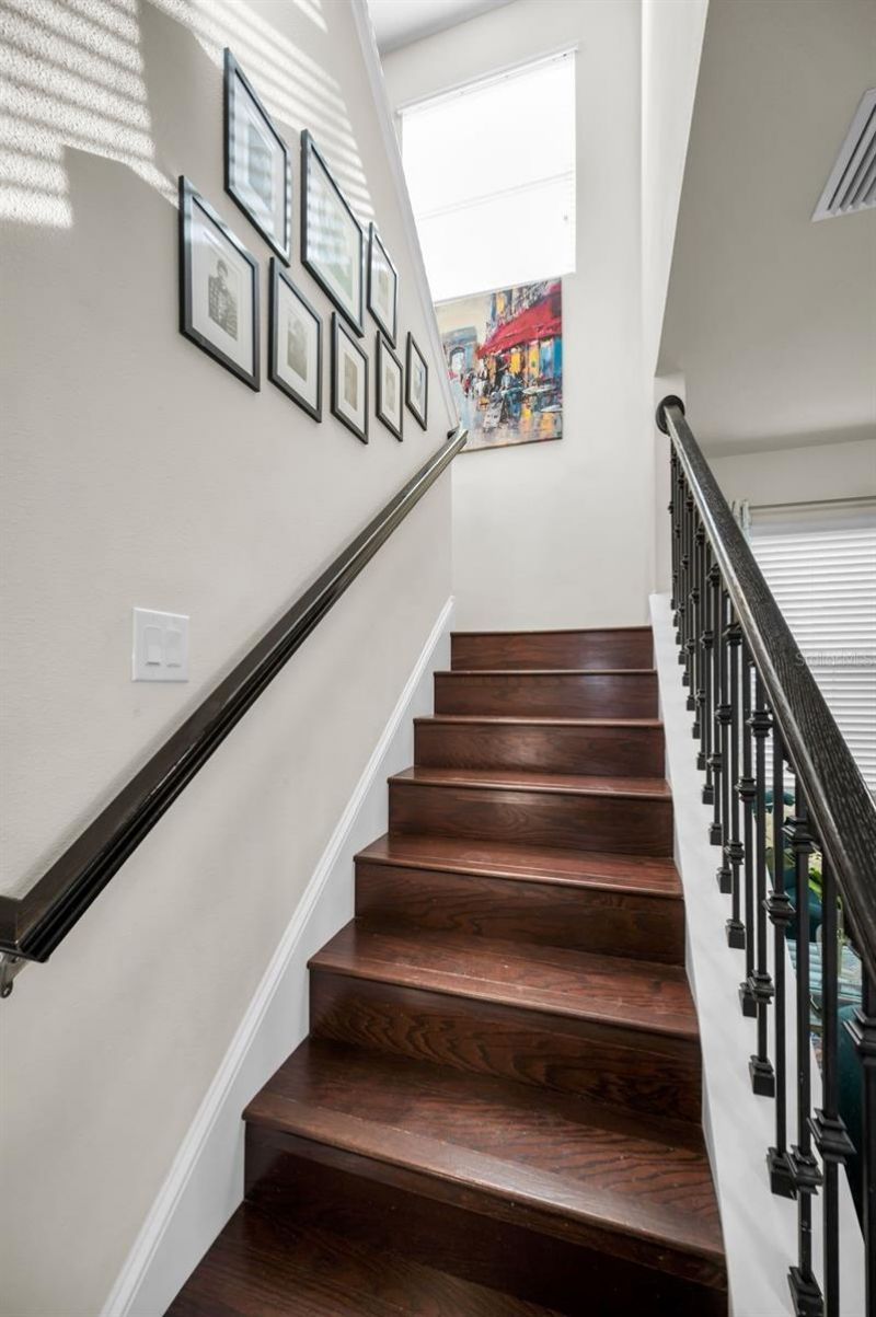 6942 Rocky Canyon Way, Tampa, FL 33625 Photo