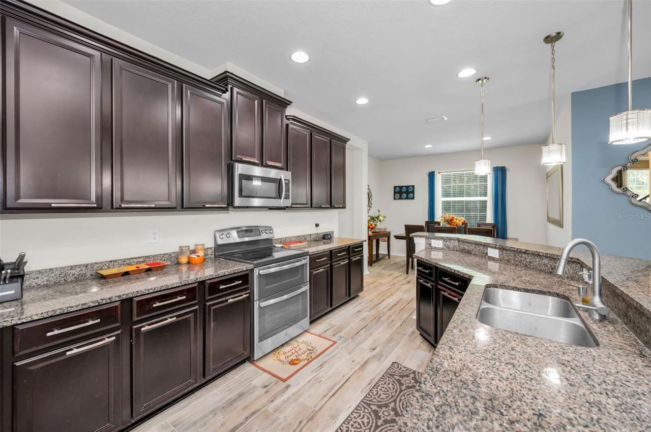 6942 Rocky Canyon Way, Tampa, FL 33625 Photo