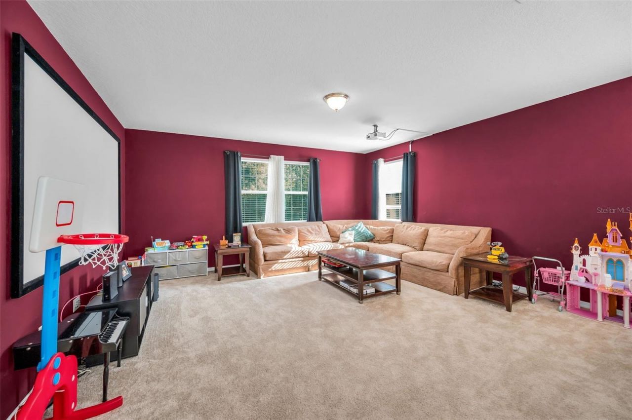 6942 Rocky Canyon Way, Tampa, FL 33625 Photo