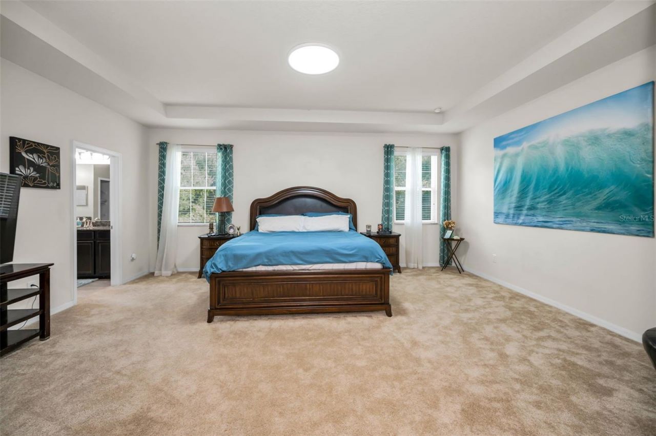 6942 Rocky Canyon Way, Tampa, FL 33625 Photo