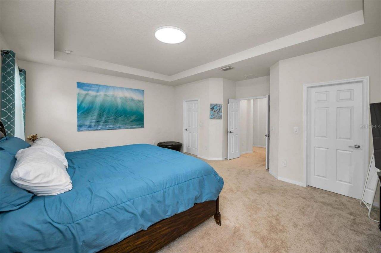 6942 Rocky Canyon Way, Tampa, FL 33625 Photo