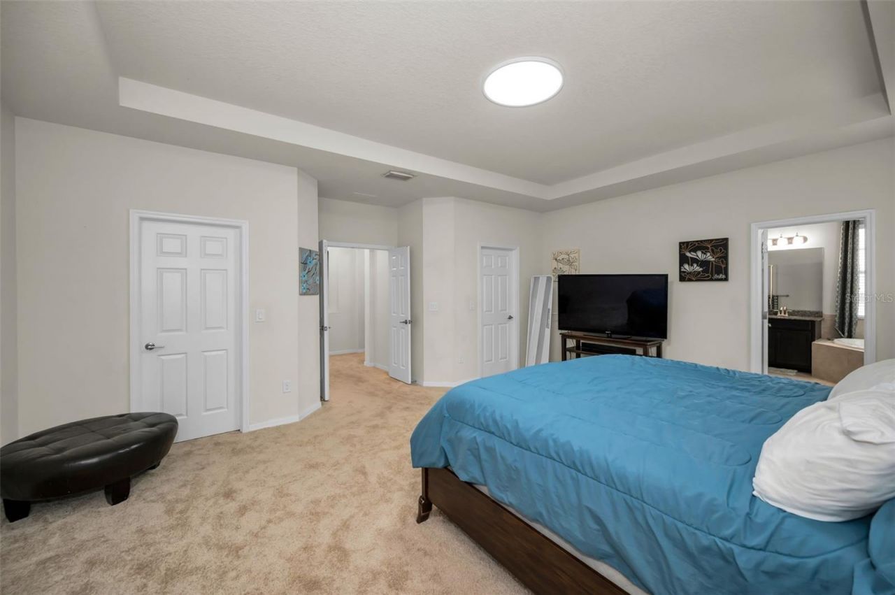 6942 Rocky Canyon Way, Tampa, FL 33625 Photo