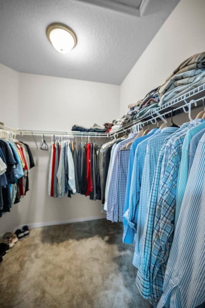 6942 Rocky Canyon Way, Tampa, FL 33625 Photo