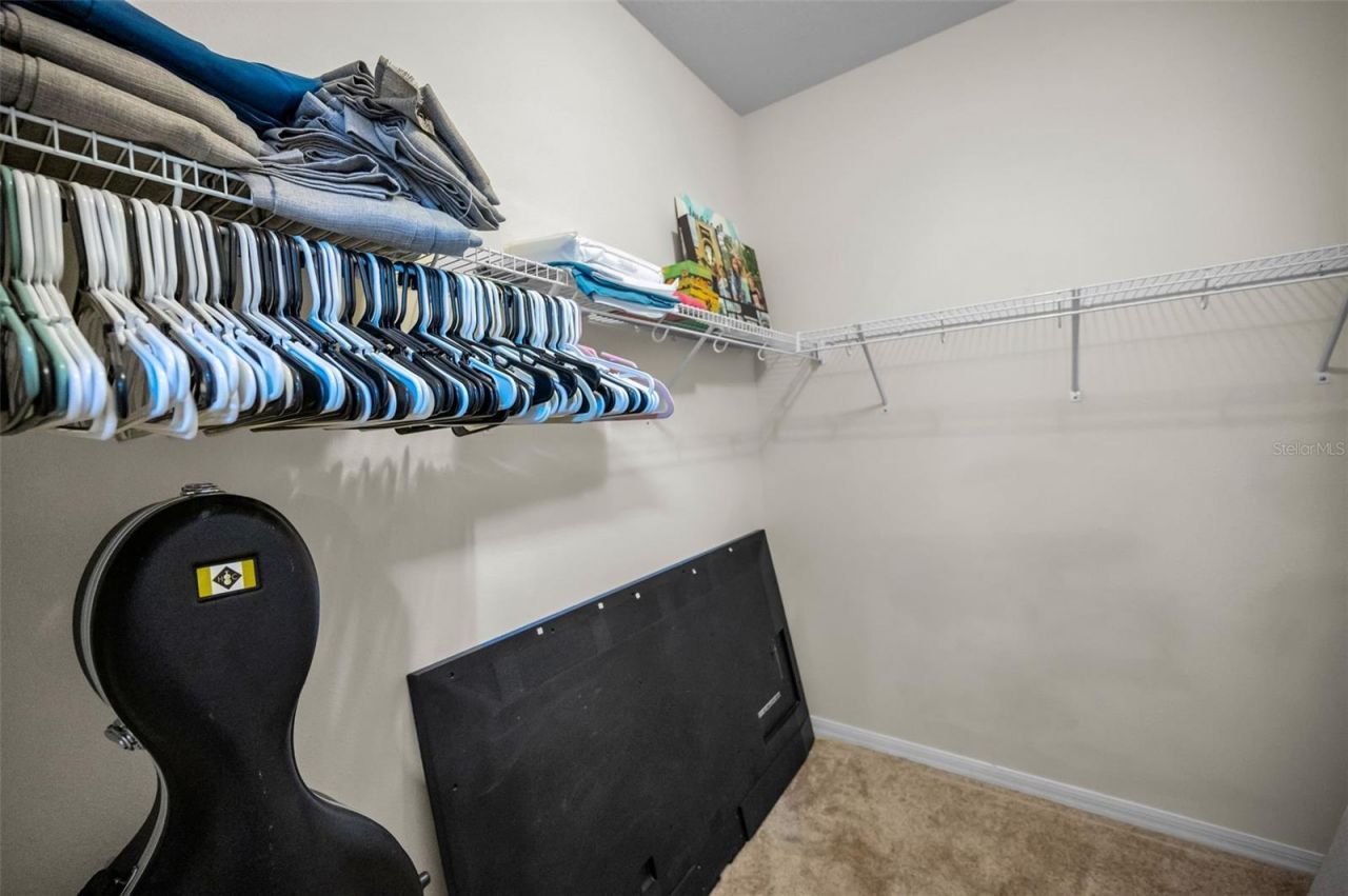 6942 Rocky Canyon Way, Tampa, FL 33625 Photo