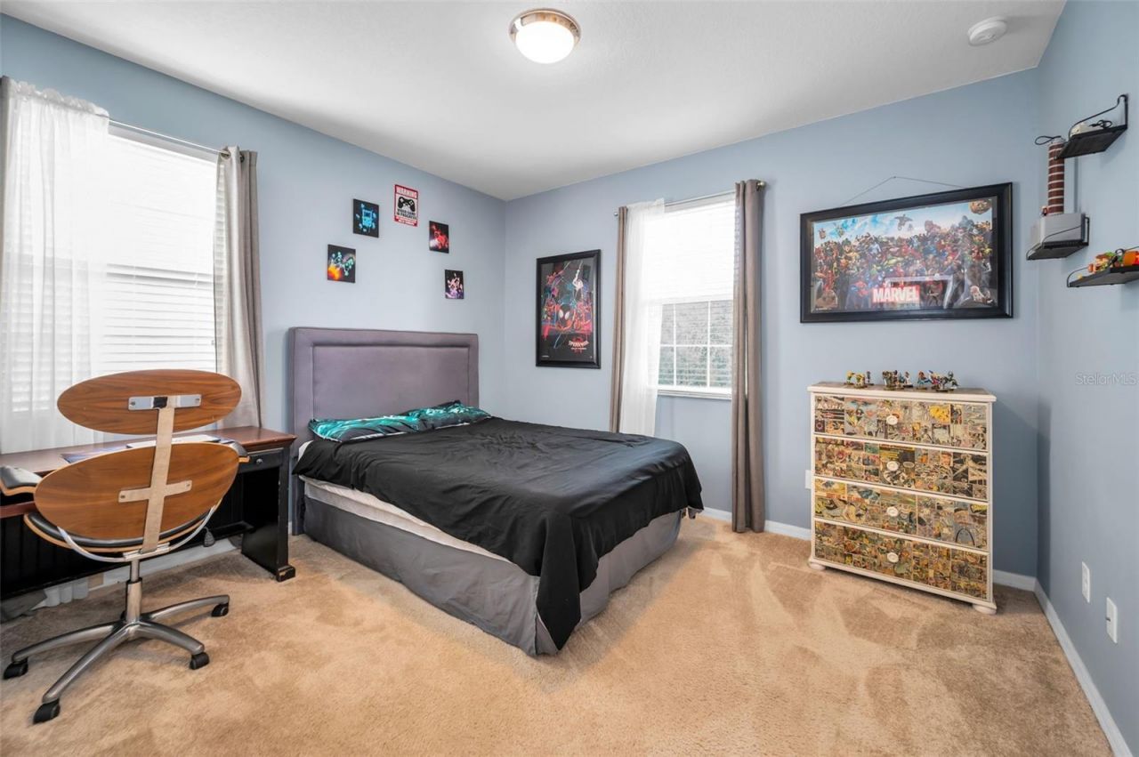 6942 Rocky Canyon Way, Tampa, FL 33625 Photo