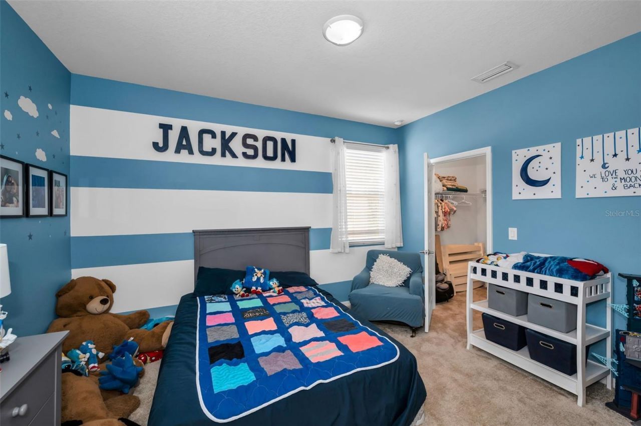 6942 Rocky Canyon Way, Tampa, FL 33625 Photo