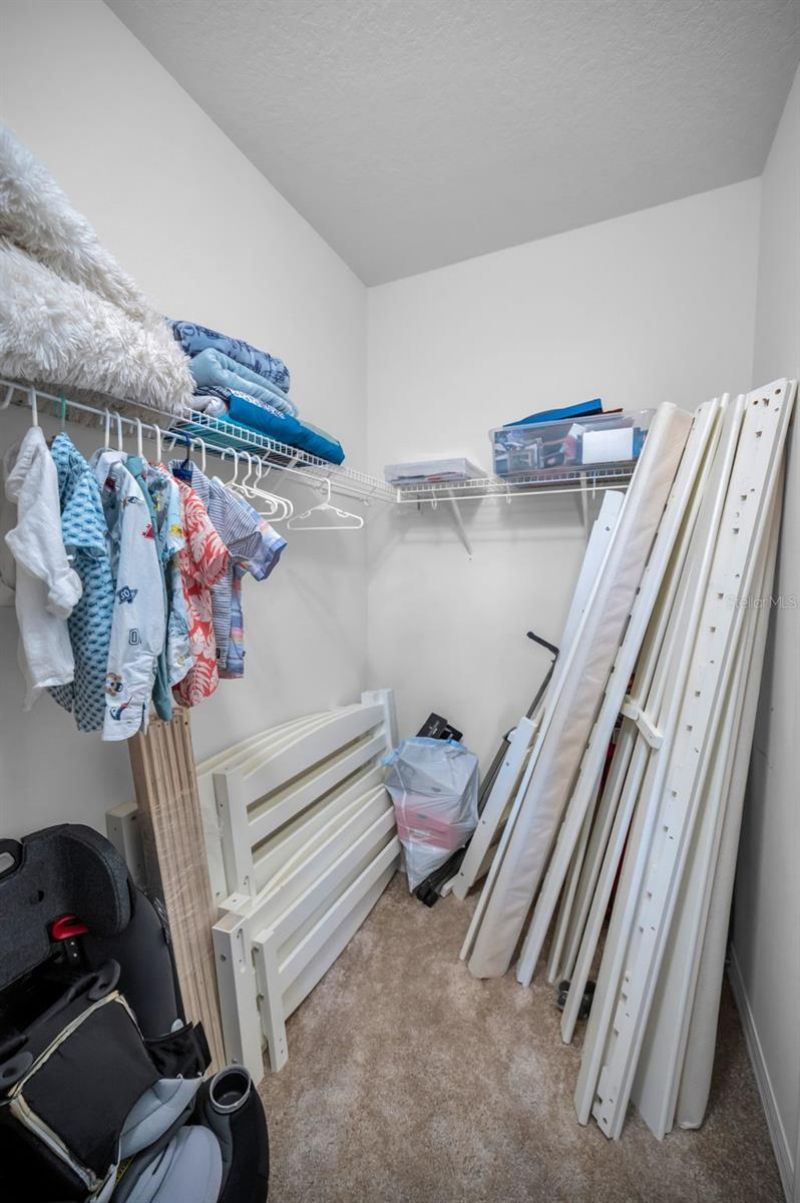 6942 Rocky Canyon Way, Tampa, FL 33625 Photo