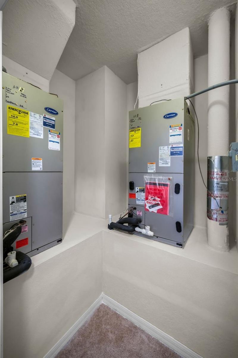 6942 Rocky Canyon Way, Tampa, FL 33625 Photo