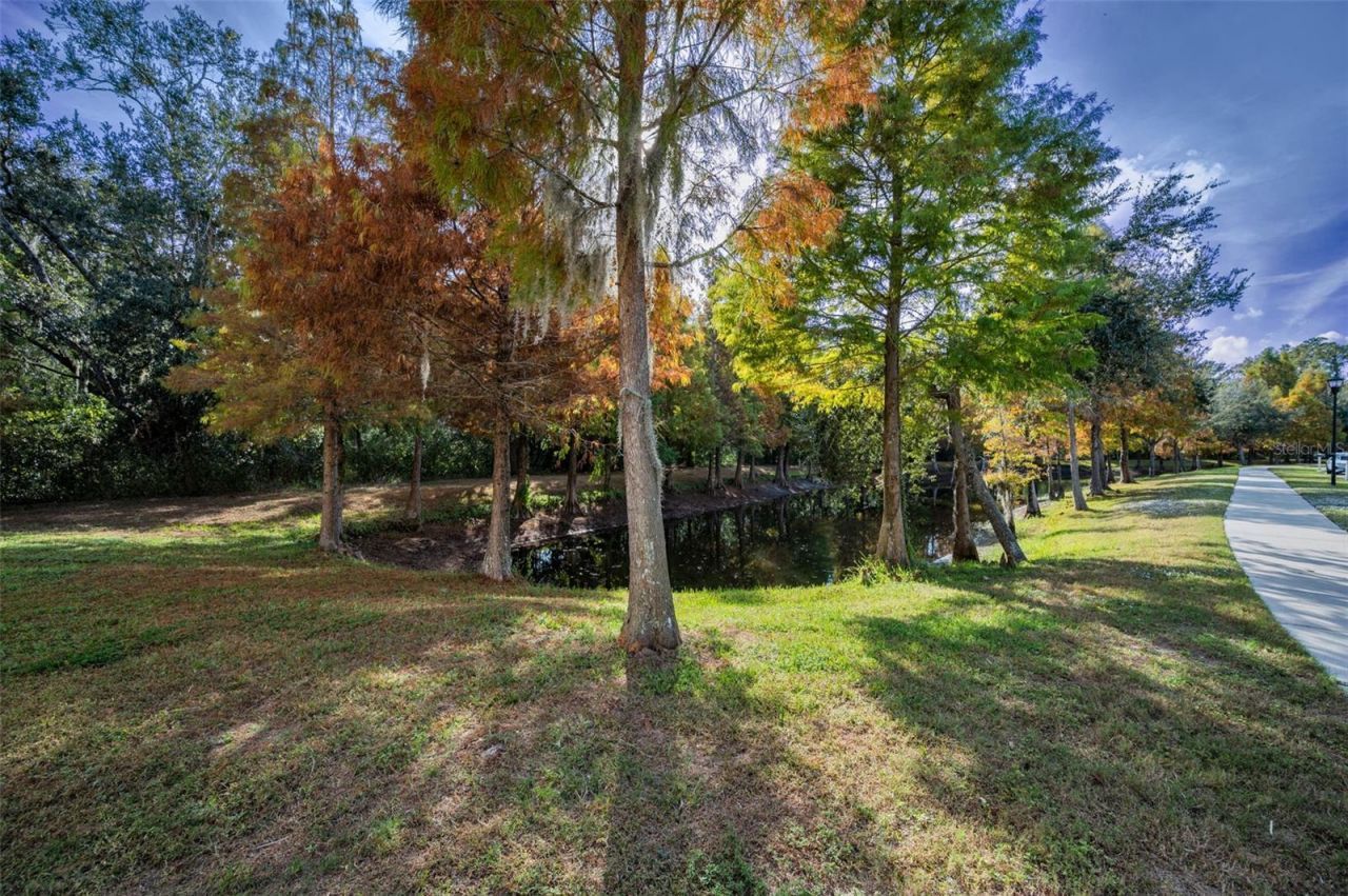 6942 Rocky Canyon Way, Tampa, FL 33625 Photo