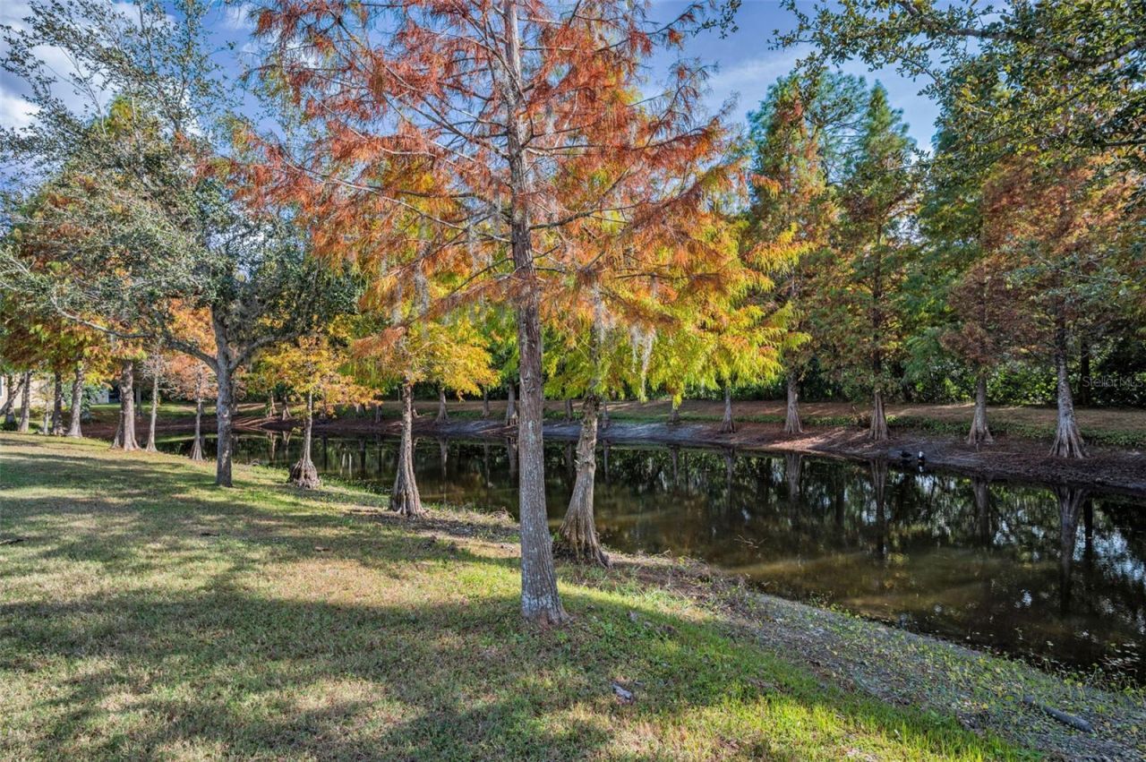 6942 Rocky Canyon Way, Tampa, FL 33625 Photo