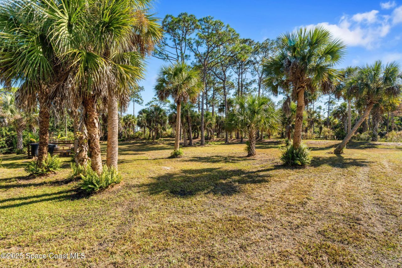 5849 Judy Kay Road, Grant, FL 32949 Photo