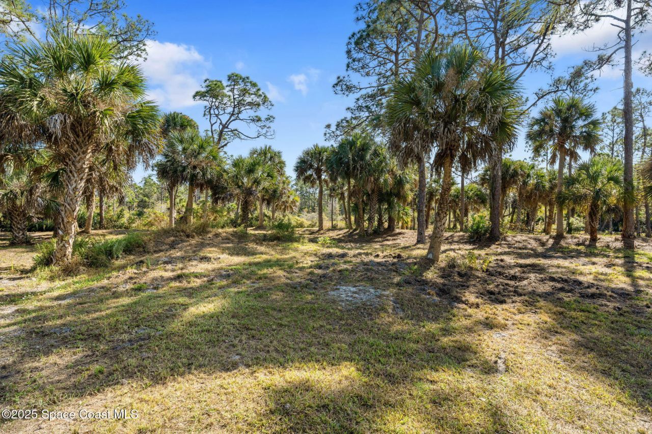 5849 Judy Kay Road, Grant, FL 32949 Photo