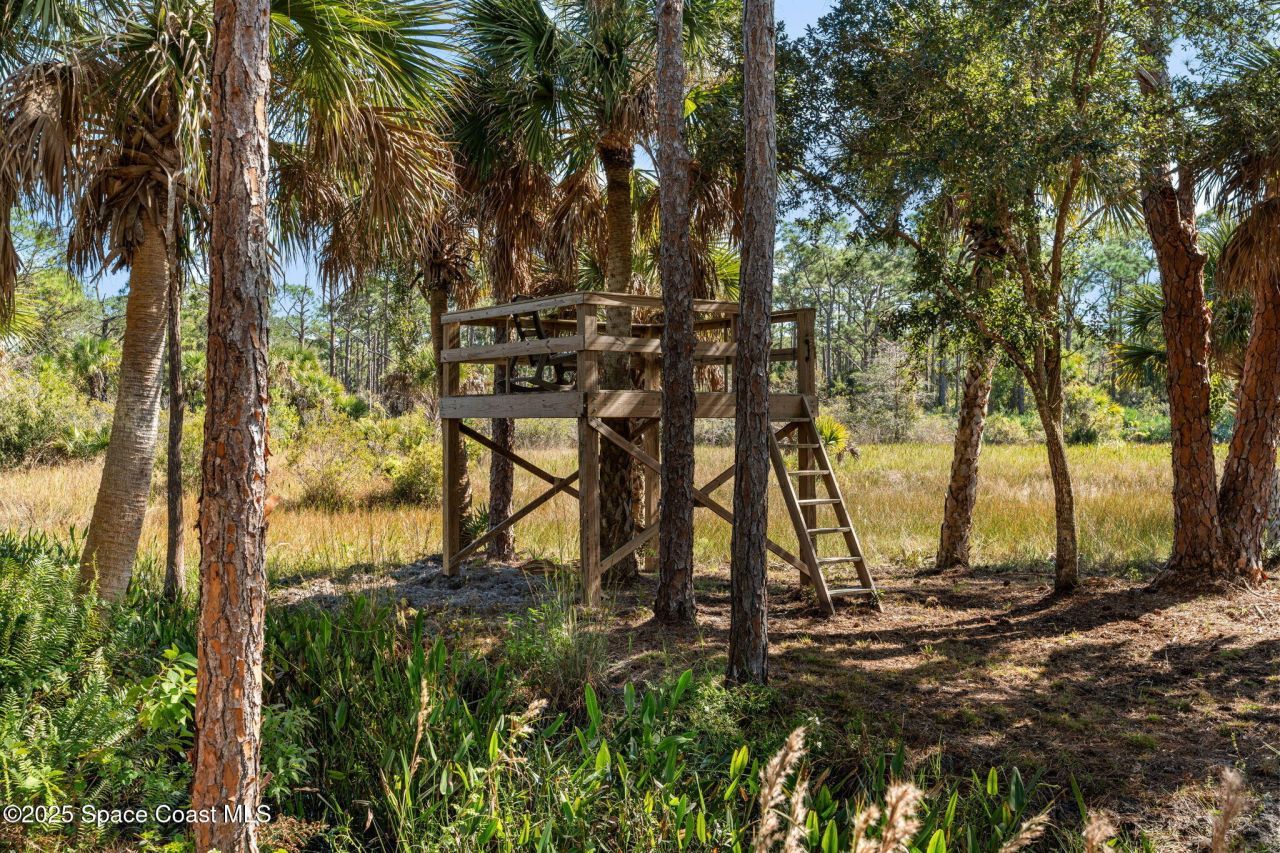 5849 Judy Kay Road, Grant, FL 32949 Photo