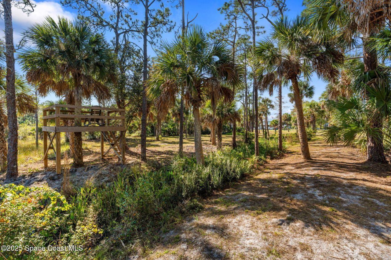 5849 Judy Kay Road, Grant, FL 32949 Photo